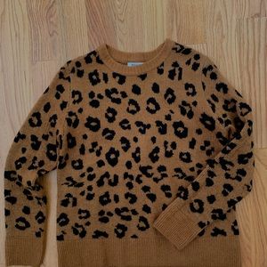 Leopard print sweater